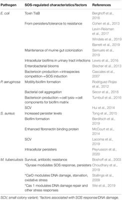 The DNA Damage Inducible SOS Response Is a Key Player in the Generation of Bacterial Persister Cells and Population Wide Tolerance